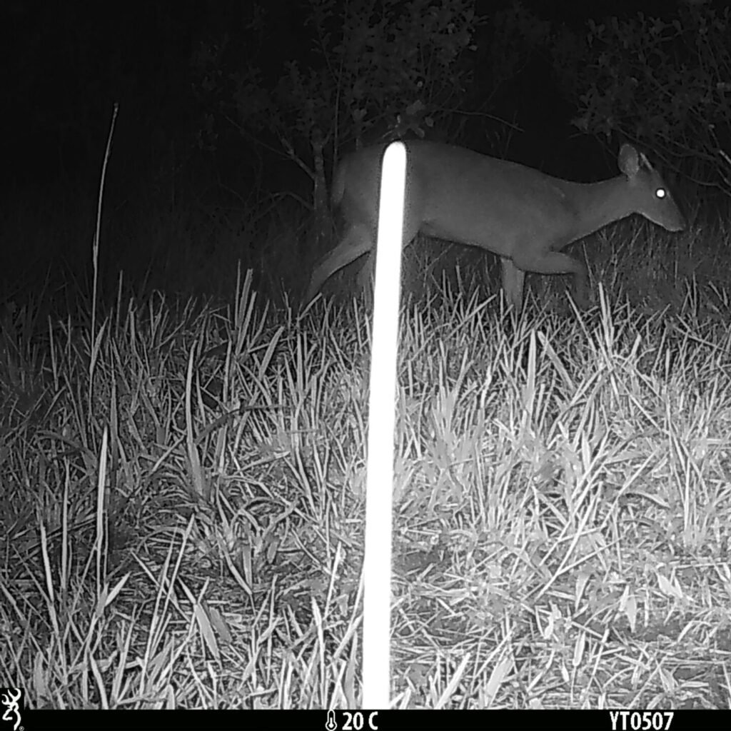 #0:T80:S48:Y15:B-43:I61-#1:T81:S0:Y842:B49:I61-#2:T106:S0:Y301:B25:I61-M1:ALS0:C2:T106:S0:Y:301:B25:I61 LS:2 1