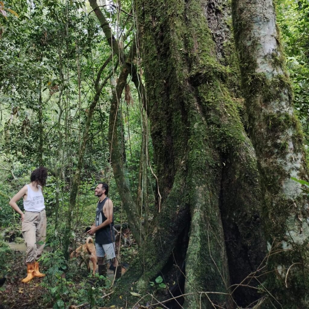 paso-tirica-monte (1)