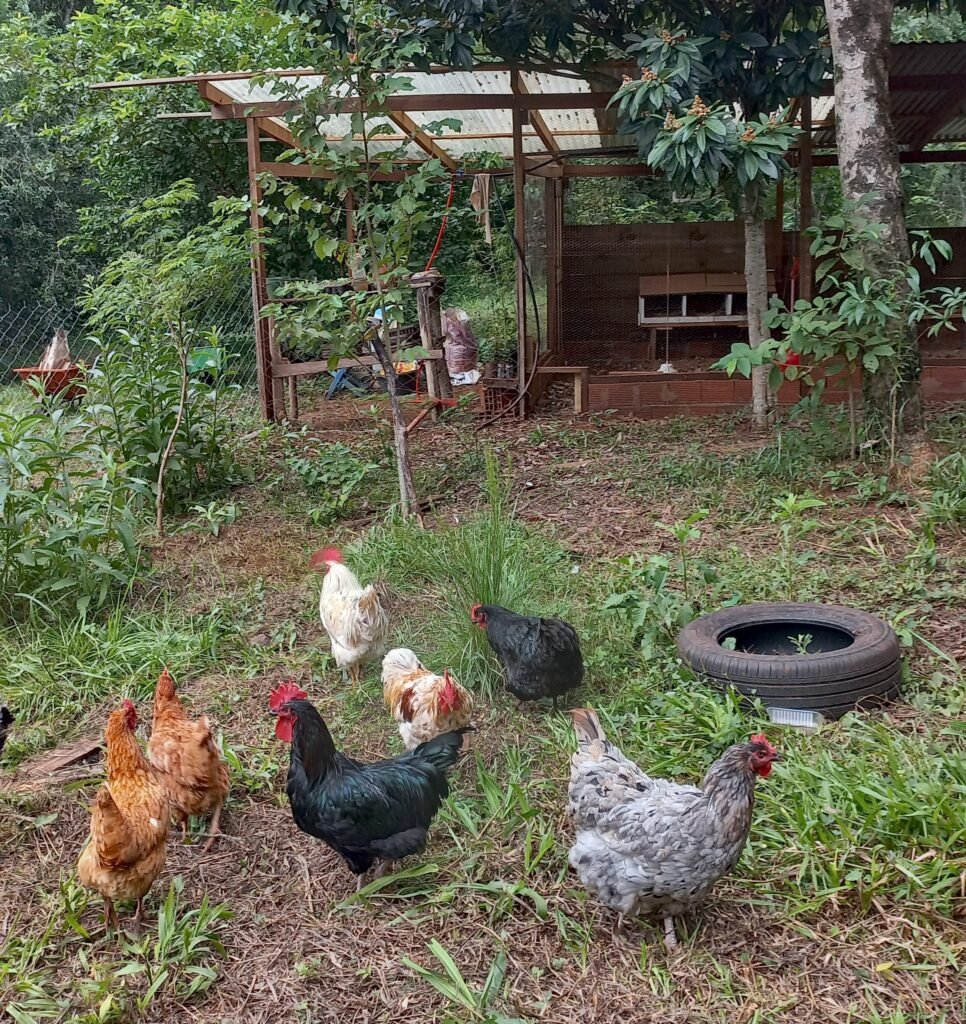 paso-tirica-produccion-agroecologica(42)