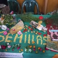 paso-tirica-entramado-comunitario (11)