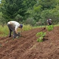 paso-tirica-ortalecimiento-equipo