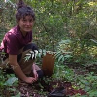 paso-tirica-reforestacion